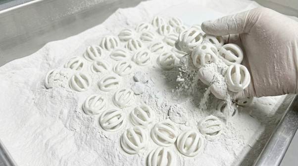 [Case Study] Creallo X Lanipet: Revolutionizing Pet Toys through 3D Printing and Injection Molding Synergy